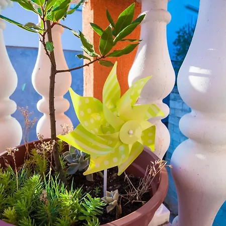 With Parking Space Bibinje, Zadar - 15178 Апартаменты *